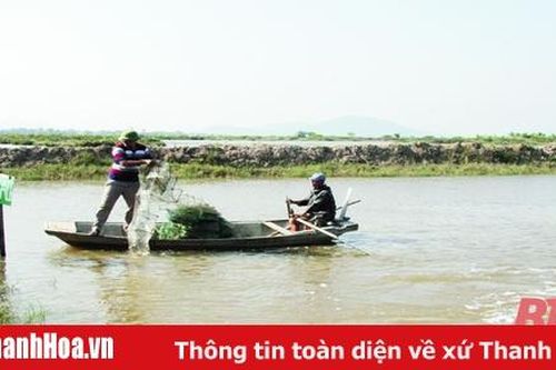 Huyện Triệu Sơn phát triển nuôi trồng thủy sản