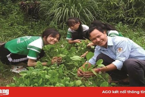Ươm mầm cho sáng tạo khoa học