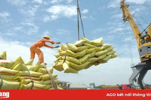 Xuất khẩu gạo 'đón sóng' EVFTA