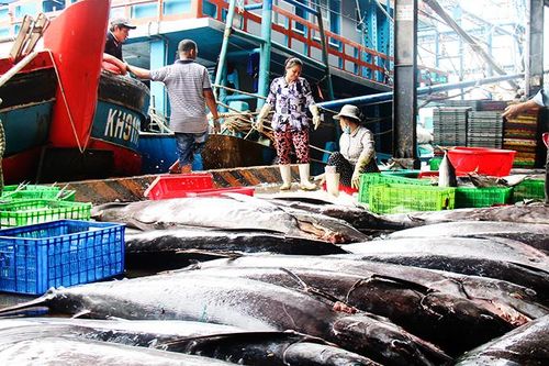 Ứng dụng tiến bộ kỹ thuật cho tàu cá