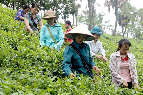 Thanh Ba thực hiện hiệu quả các khâu đột phá