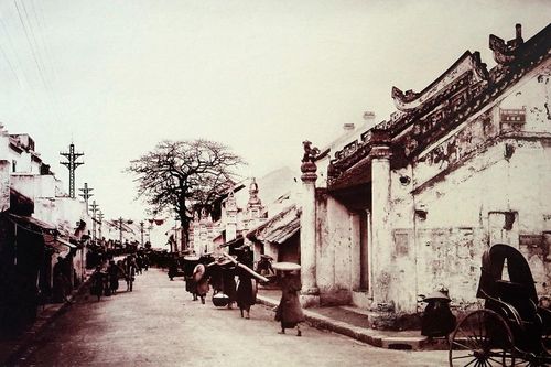 Phố 'sang' nhất thủ đô