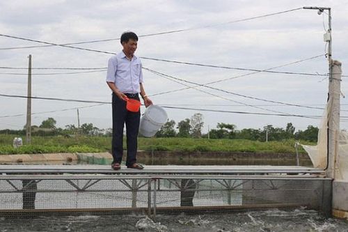 Huyện Ứng Hòa: Thay nguồn nước cho vùng chuyên canh thủy sản
