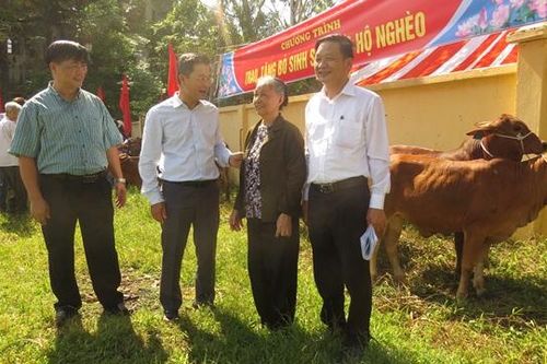 Huyện Ứng Hòa trao tặng 36 con bò cho hộ nghèo
