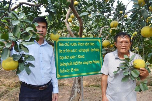 Trang bị kiến thức bổ ích cho nông dân huyện Đan Phượng