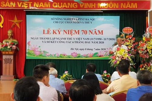 Cần thực hiện nghiêm túc nghị quyết cấm chăn nuôi trong khu vực nội thành