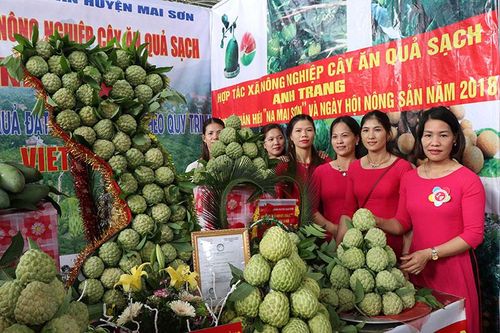 Giải pháp hiện thực hóa hai chương trình mục tiêu quốc gia (Tiếp theo và hết) (*)