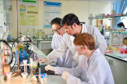Thiết kế nghề nghiệp cho tương lai