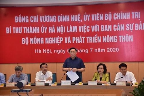 Hà Nội muốn có hướng dẫn quy hoạch nông thôn mới gắn với đô thị hóa