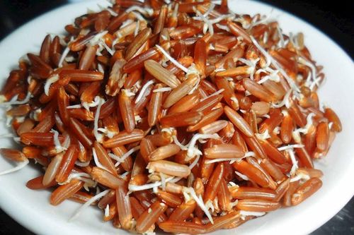 6 thực phẩm mọc mầm không hề độc mà là 'thần dược' ngừa cả ung thư nhiều người bỏ phí