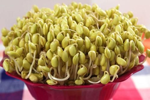 Ăn giá đỗ kiểu này có ngày tổn thọ, chết non: Rất nhiều bà nội trợ phạm phải mà không biết