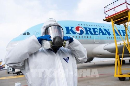 Korean Air bán lại 2 mảng kinh doanh quan trọng cho quỹ đầu tư tư nhân