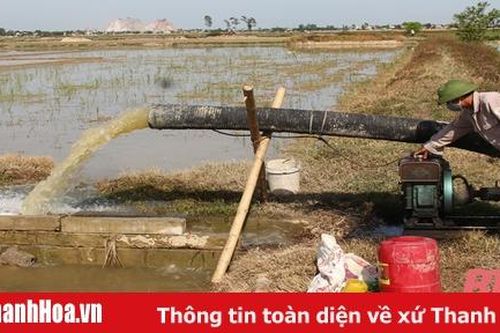Nỗ lực cấp nước chống hạn, phục vụ sản xuất