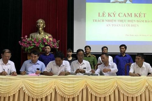 Phú Bình: Tăng cường công tác bảo vệ an toàn hành lang lưới điện