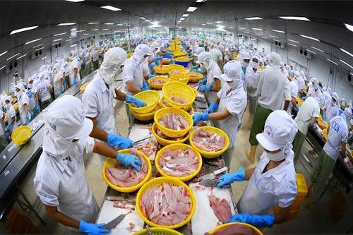 Xuất khẩu cá tra tăng trưởng khá tại thị trường Anh và Singapore