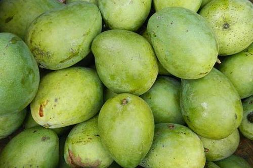 10 lợi ích bất ngờ của quả xoài xanh với sức khỏe
