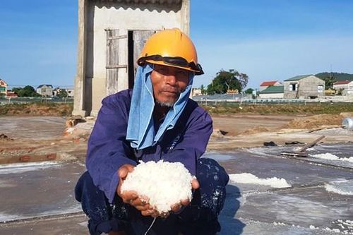 Những giọt mồ hôi mặn chát trên cánh đồng muối