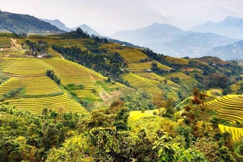 Sa Pa, Ninh Bình vào top 14 điểm đến châu Á