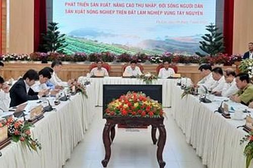Ổn định đời sống cho người dân sản xuất nông nghiệp trên đất rừng tại Tây Nguyên