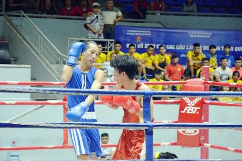 Khai mạc Giải vô địch Cúp các câu lạc bộ Boxing toàn quốc năm 2020