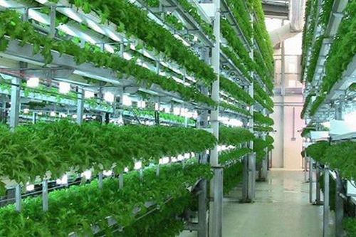 Sắp diễn ra chương trình về khởi nghiệp quy mô lớn chưa từng có