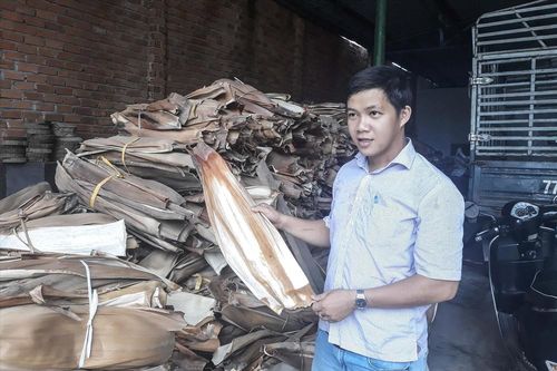 Chàng trai thổi hồn vào mo cau