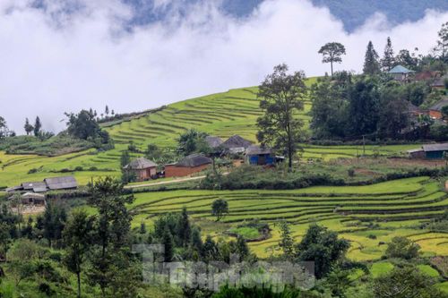 Xây dựng khu đô thị du lịch biên giới ở Lào Cai