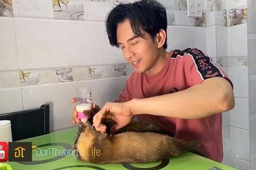 Vì sao Đan Trường tặng 2 con rái cá cho Thảo Cầm Viên?