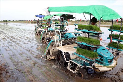 Trình diễn cấy máy và phun thuốc bảo vệ thực vật bằng máy bay không người lái
