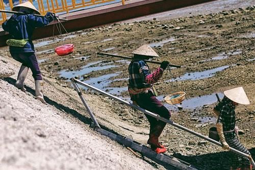 Nghề đặc biệt chỉ dành cho phụ nữ ở 'đảo sá sùng'