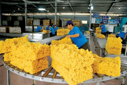 Xuất khẩu cao su 6 tháng giảm mạnh, chỉ đạt hơn 600 triệu USD