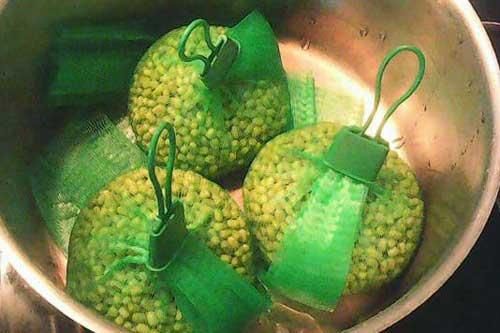 Cách làm giá đỗ bằng túi lưới đơn giản không ngờ