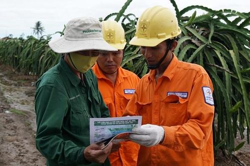 Báo động vi phạm an toàn lưới điện mùa mưa bão