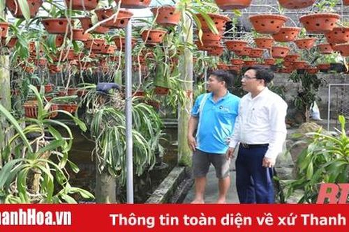 Những đảng viên gương mẫu, làm kinh tế giỏi ở huyện Nông Cống