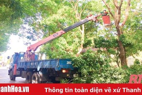 Để không còn nỗi lo cây xanh gãy đổ