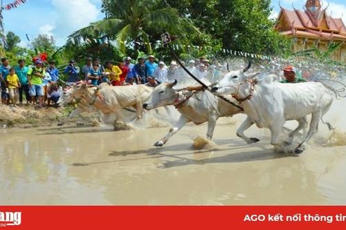 An Cư đa dạng hóa phong trào thể thao