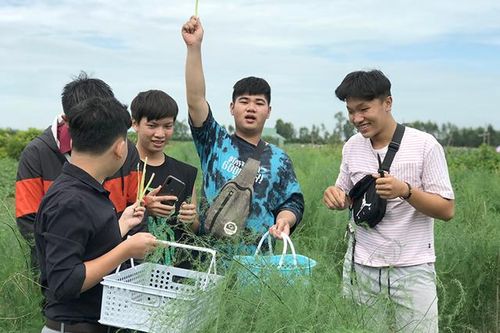 Đến Tháp Mười, tham quan mô hình nông nghiệp sinh thái kết hợp du lịch trải nghiệm