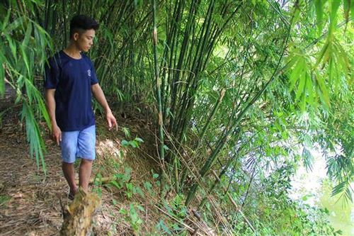 Vụ dùng súng tự chế bắn người trọng thương: Tạm giữ chiếc thuyền khai thác cát trái phép