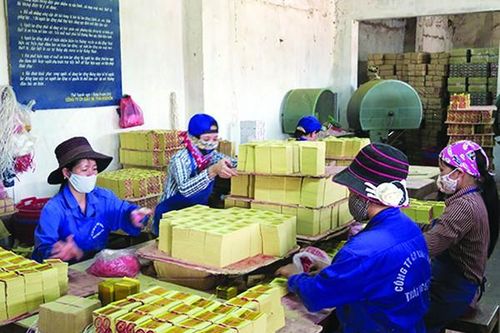Nghị định hướng dẫn giảm thuế cho doanh nghiệp vừa và nhỏ: Được giảm thế nào, thủ tục ra sao?