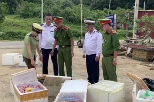 Nửa tấn nội tạng không nguồn gốc suýt được tuồn vào quán ăn