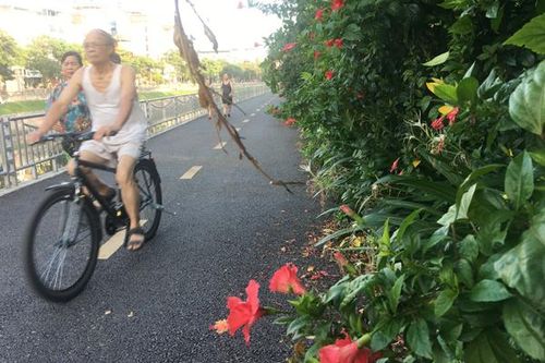 Buổi sớm ngày Hè trên đường dạo ven sông Tô Lịch
