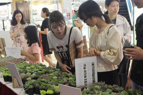 'Đổi rác lấy cây': Hành động đẹp góp sức bảo vệ môi trường