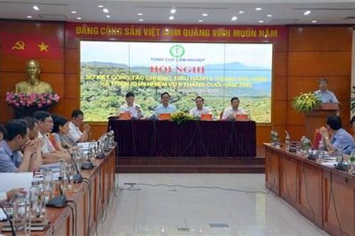 Nắng nóng cực đoan, nguy cơ cháy rừng vẫn còn gia tăng