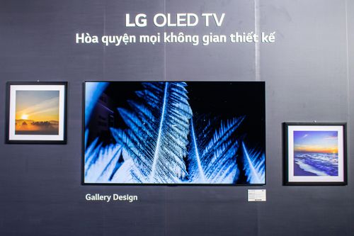 LG: Ra mắt TV OLED 8K, TV OLED và NanoCell cao cấp tại Việt Nam