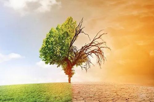 Khí hậu sẽ biến đổi thế nào trong vòng 5 năm tới?