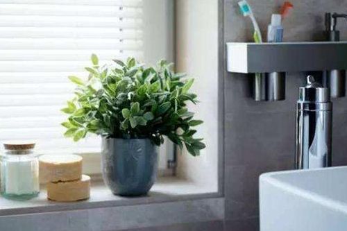 Chồng làm giám đốc, tôi phải vay anh từng đồng để chi tiêu