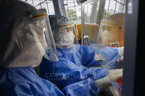 Nhóm chuyên gia WHO tới Trung Quốc xác định nguồn gốc của virus SARS-CoV-2