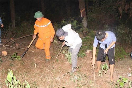 Xuyên đêm khống chế cháy rừng ở núi Con Voi