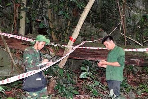 Phát hiện Gấu ngựa và Cầy vằn Bắc trong Danh lục đỏ Thế giới tại rừng Pù Luông