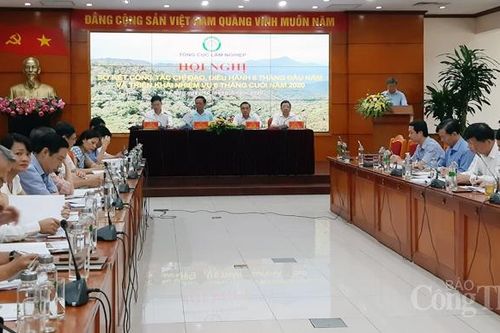 Xuất khẩu lâm sản hướng đến mục tiêu trên 12 tỷ USD trong năm 2020